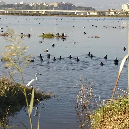 Mare Di La Finestra Sul Porto 3* Аугуста